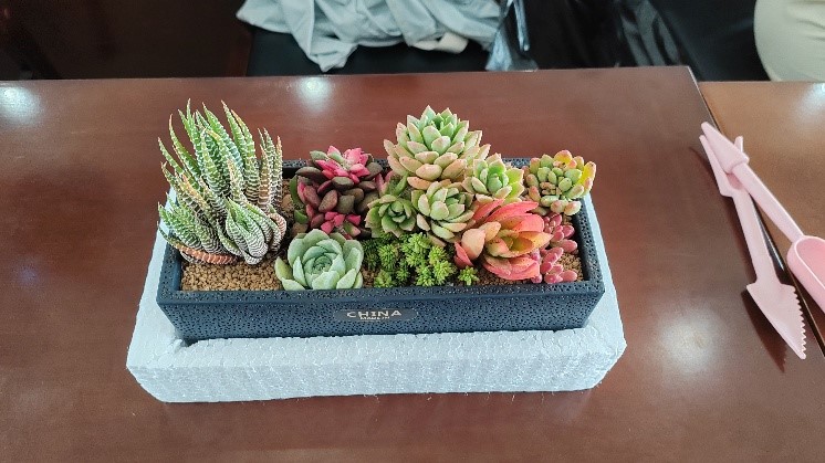 3030eacc4614c405afe8d8a2ca9cd766.jpg 3030eacc4614c405afe8d8a2ca9cd766.jpg